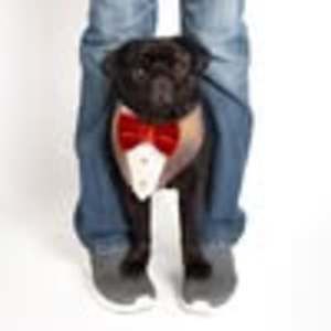 Meet your Posher, Mc